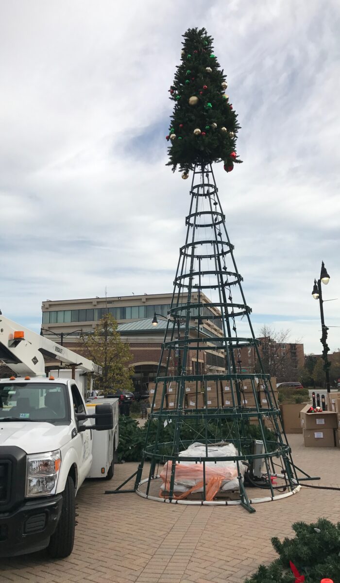30 Ft Tower Tree